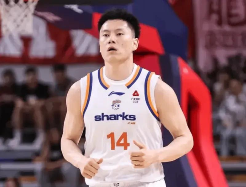 开云体育-CBA最佳阵容3人成大赢家!李弘权逐步提升,庞峥麟+徐昕获认可!
